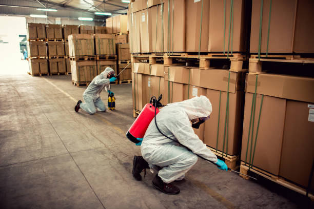 Best Flea Control Services  in Evendale, OH