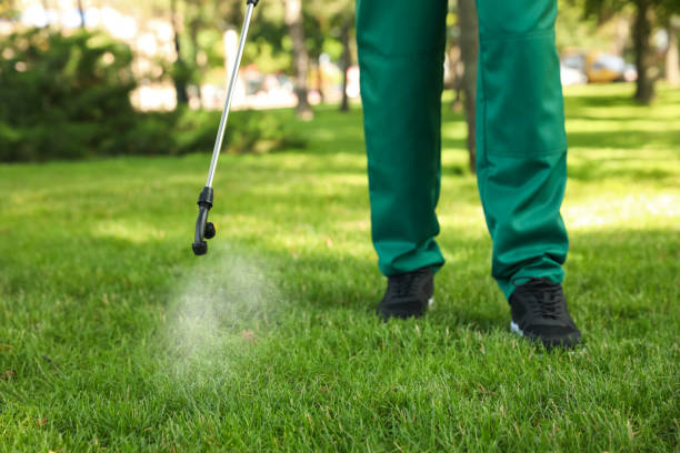 Best Bird Control  in Evendale, OH