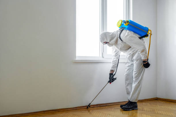 Best Residential Pest Control  in Evendale, OH