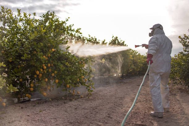 Best Affordable Pest Control Services  in Evendale, OH