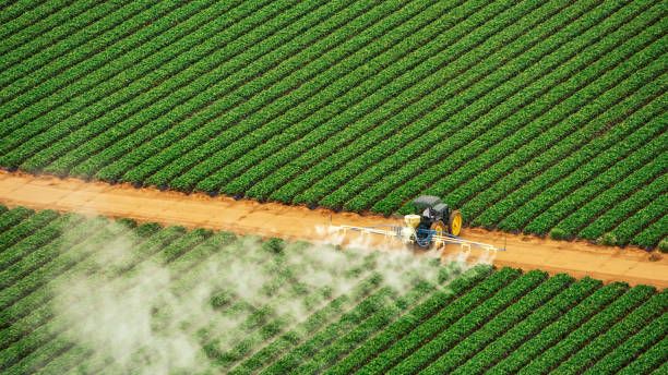 Best Termite Control Services  in Evendale, OH