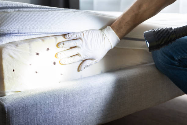 Best Cockroach Control Services  in Evendale, OH