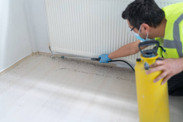 Reliable Evendale, OH Pest Control Solutions